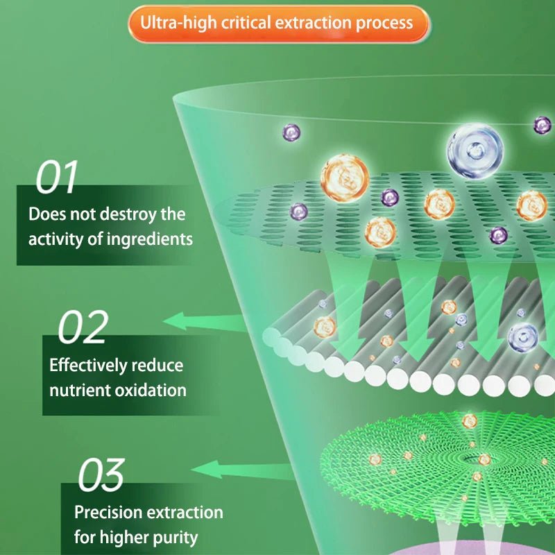 Nattokinase Capsules Blood Vessel Clean Dissolve Blood Clots Lowering Pressure Prevent Arteriosclerosis Improve Vascular Health - FloraDigest Co.